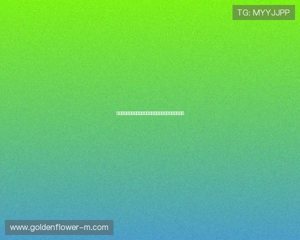 广州羽毛球馆周边设施及交通指南全面解析助你畅享运动乐趣